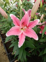 [4362 Mumbai DJ No02.JPG]